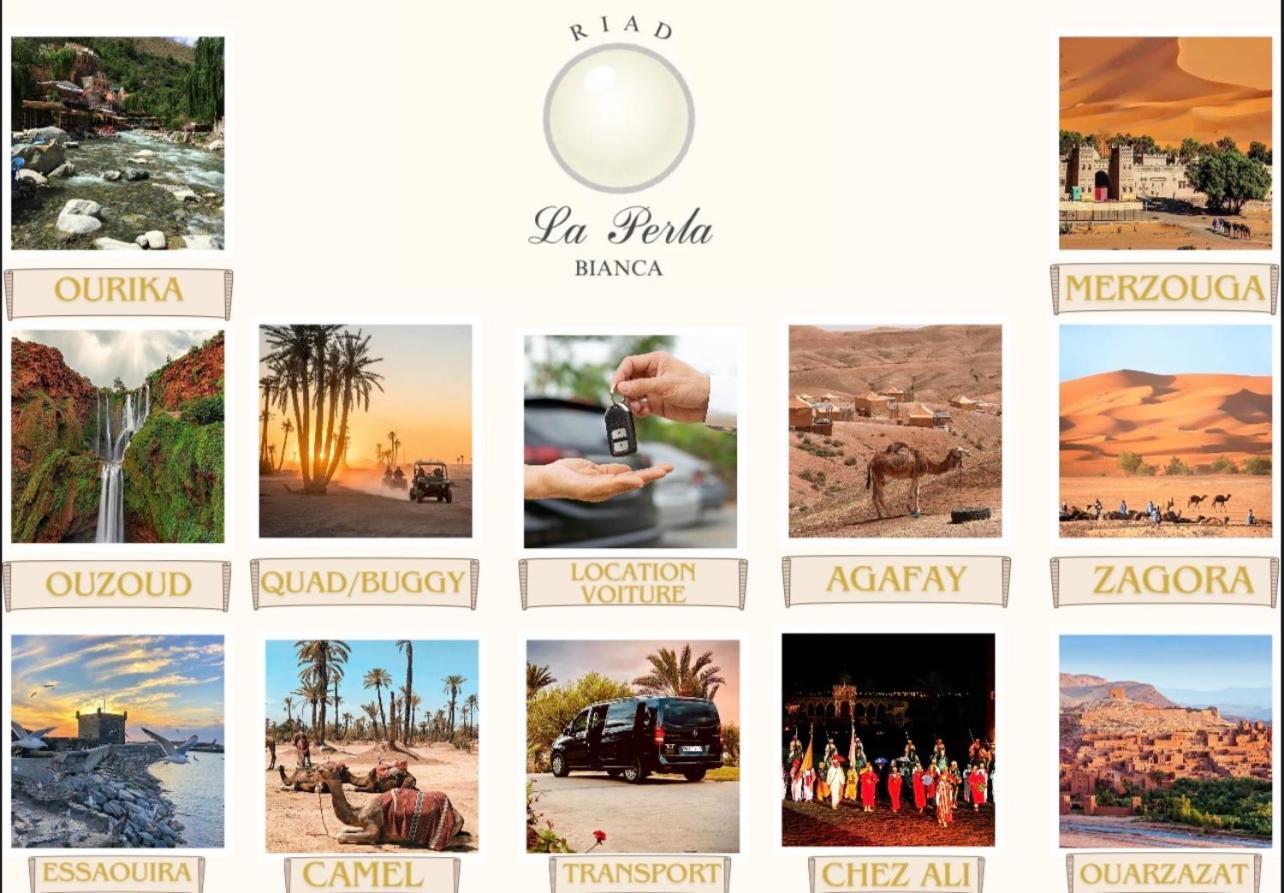 Riad La Perla Bianca マラケシュ エクステリア 写真